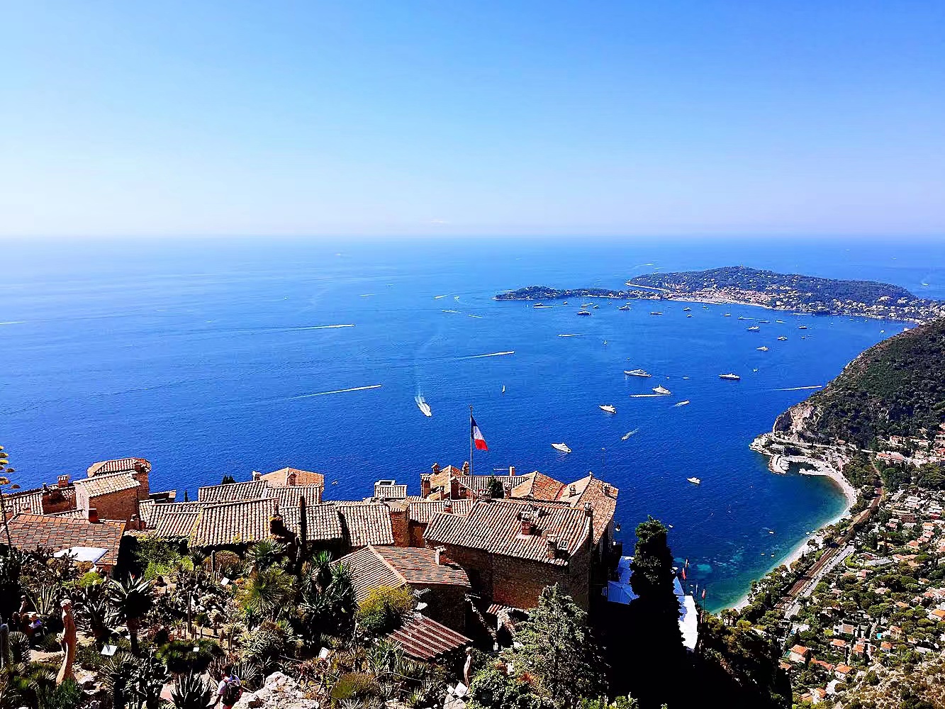 1679995269446056932.jpg 1679995269446056932.jpg